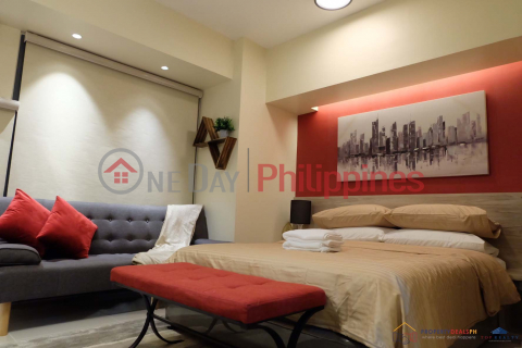 Studio Unit for Sale in Viceroy Tower 4 at Taguig City _0