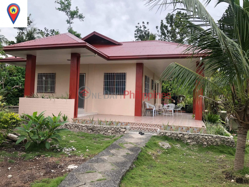 Property Search Vietnam | OneDay | Residential, Sales Listings | Very Rush Sale! Fully Furnished Bungalow House and Lot with very Wide Lawn and can Accommodate 3Cars