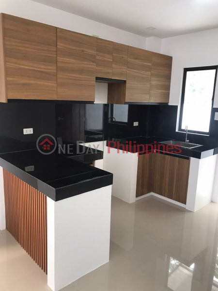 Single Dettached House and Lot for Sale in Muntinlupa Brandnew-MD Sales Listings