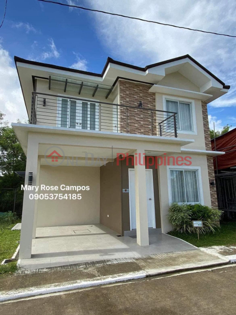 High Quality- High Ceiling Luminous 4 Bedroom House and Lot For Sale in DASMA CAVITE _0