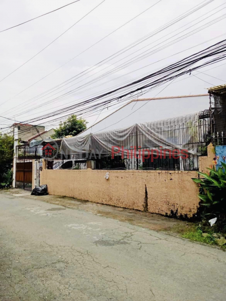 Property Search Vietnam | OneDay | Residential | Sales Listings Newly Renovated House and Lot For Sale in Road 20, Project 8, Quezon City (Near Congressional Avenue