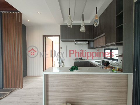 Modern Elegant House and Lot for Sale in Antipolo 2Storey-MD _0