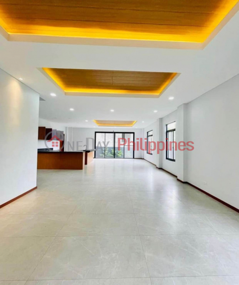 BRAND NEW HOUSE AND LOT FOR SALE SITIO SEVILLE SUBDIVISION, NEOPOLITAN FAIRVIEW, COMMONWEALTH AVENUE, QUEZON CITY _0