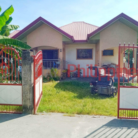 HOUSE AND LOT FOR SALE (ENDZ-0329475003)_0